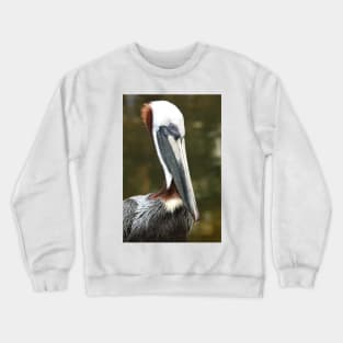 Pelican Crewneck Sweatshirt